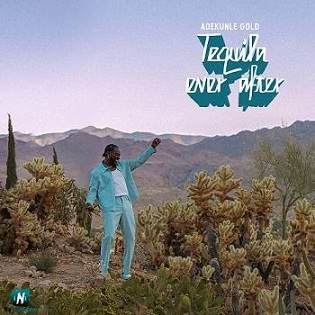 Adekunle Gold - To My Own