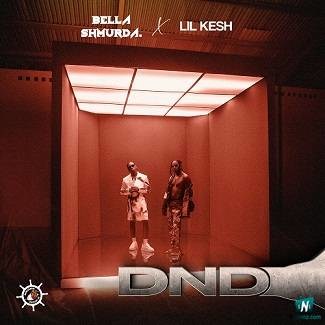 Bella Shmurda - DND ft Lil Kesh