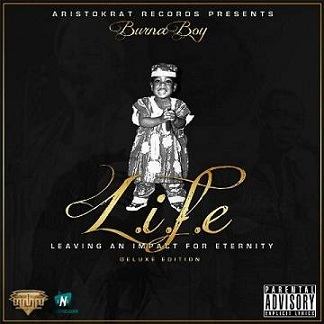 Burna Boy - Like To Party