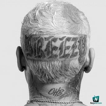 Chris Brown - Call Me Everyday ft Wizkid