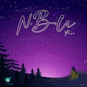 Fave - NBU
