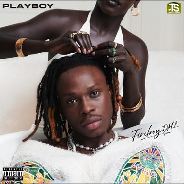 FireBoy DML