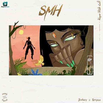 Joeboy - SMH ft Tempoe