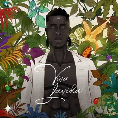 Joeboy - Abena