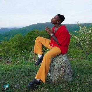 Kelvyn Boy - Softly ft Tekno