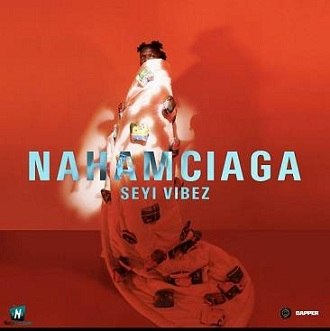 Seyi Vibez - Different Pattern